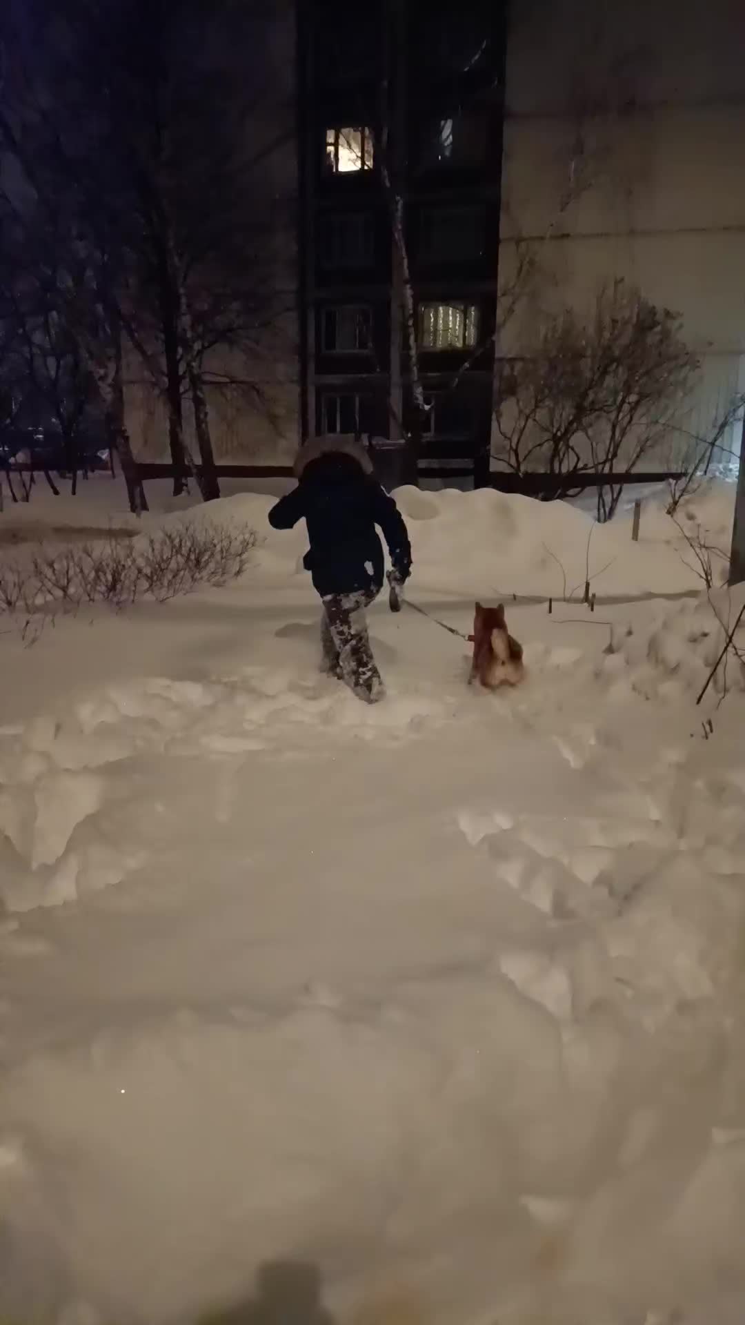@•Нефор_Санечка•@