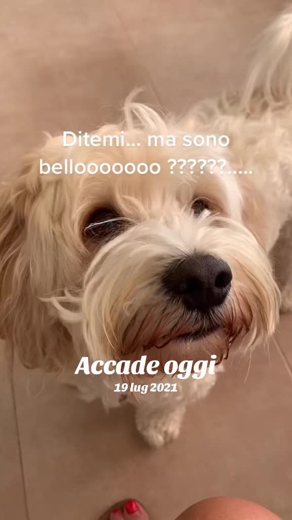 @Micina— annamaria