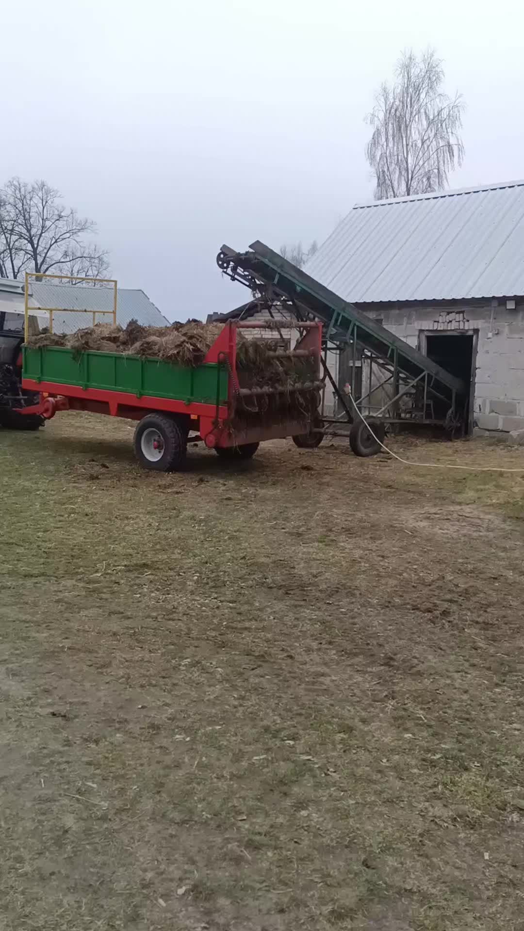 @Surowiec304
