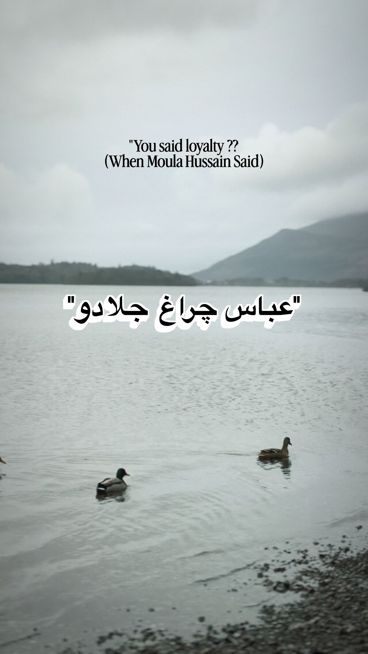 @Shahmeer Hassan