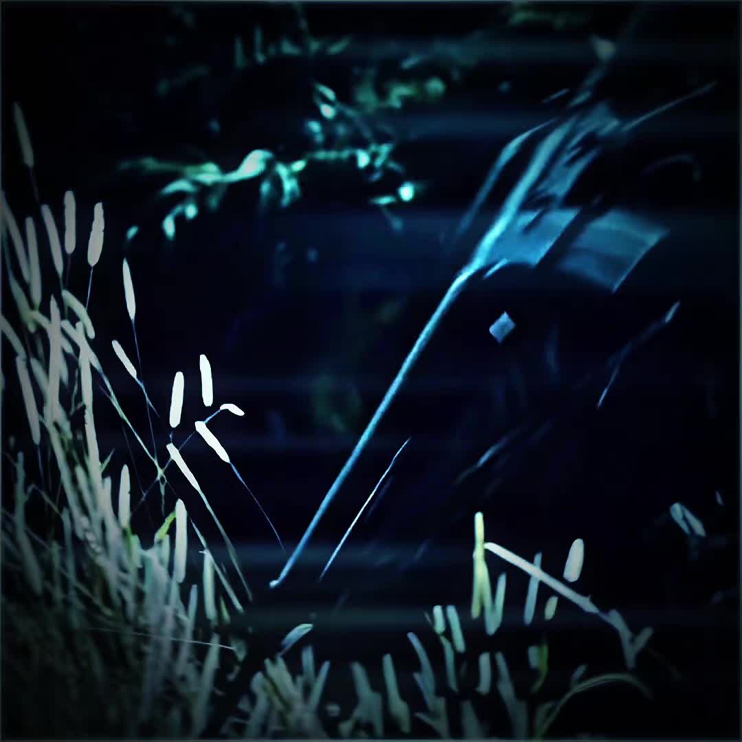 @𝙹𝙰𝙺𝙴.𝙴𝙳𝙸𝚃𝚉