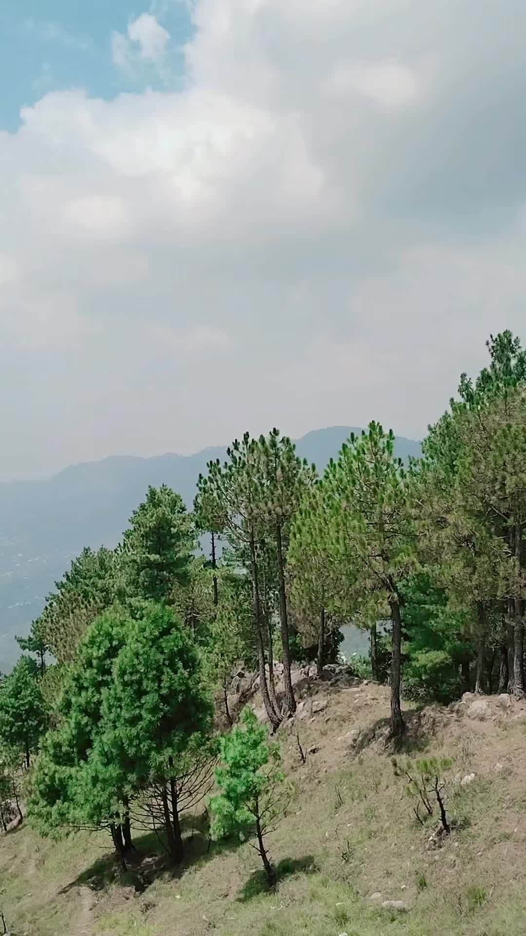 @Jalandhar shoes Tibba