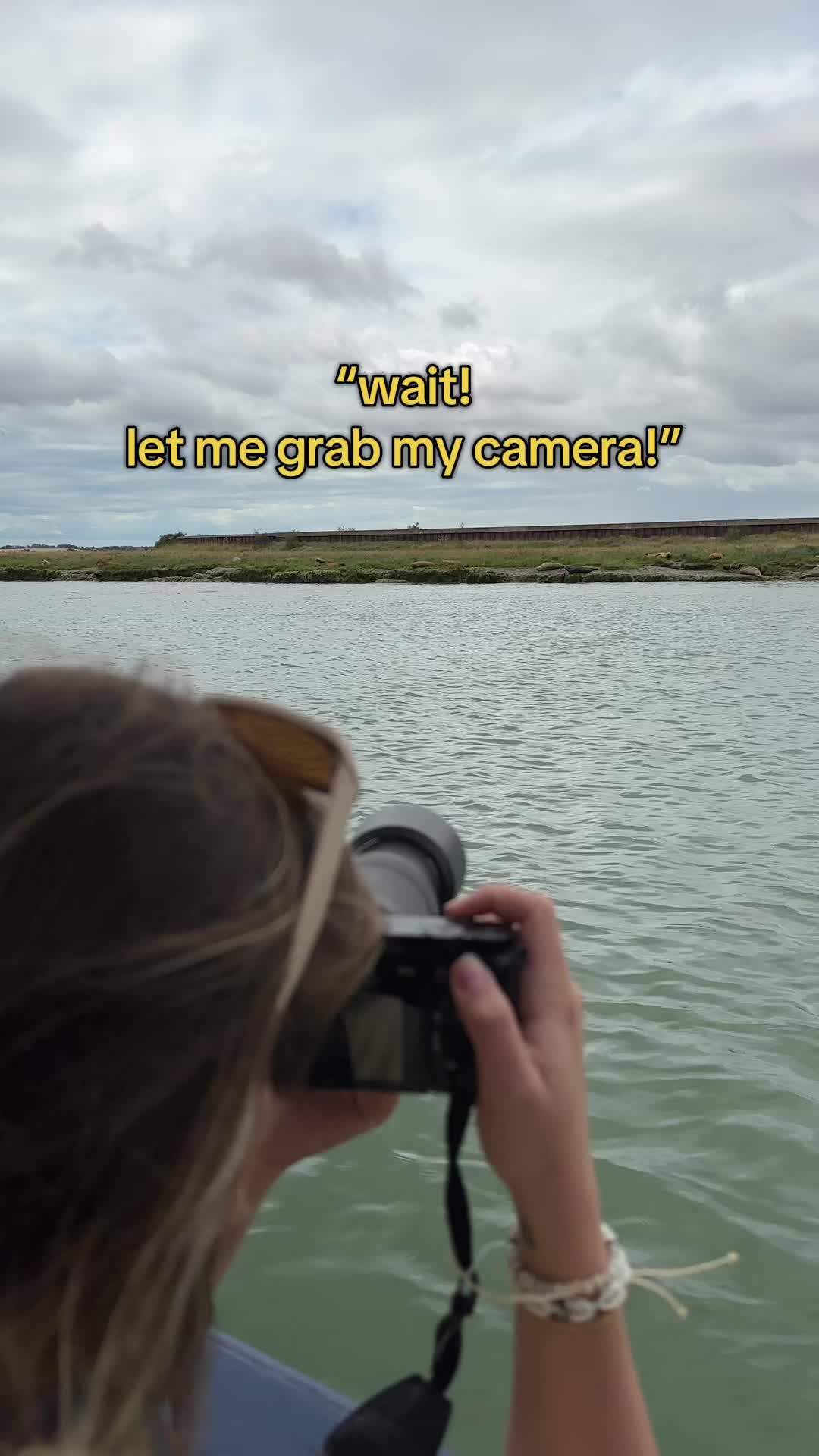 @Brogan 𓆝𓆟𓆞