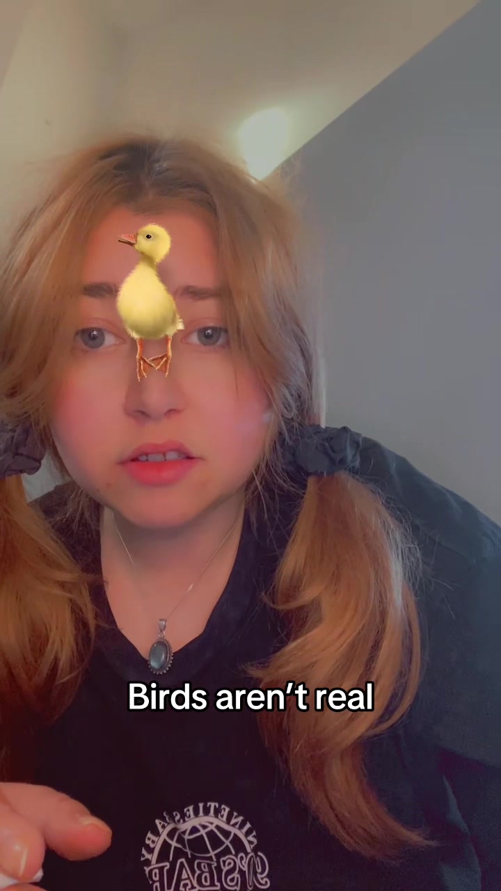 @silkiethesprite