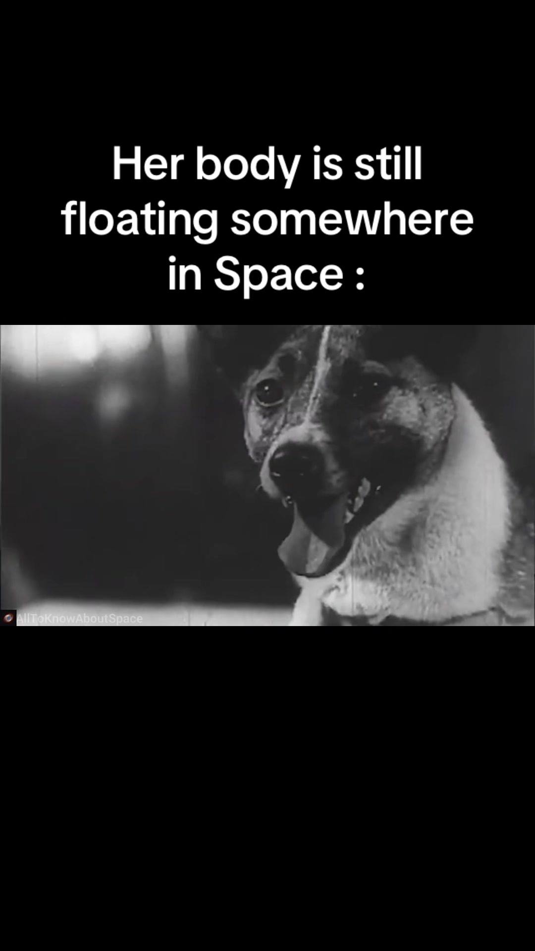 @AllToKnowAboutSpace