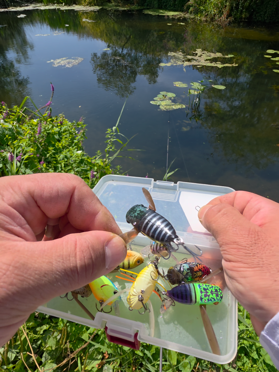 @BF Angler