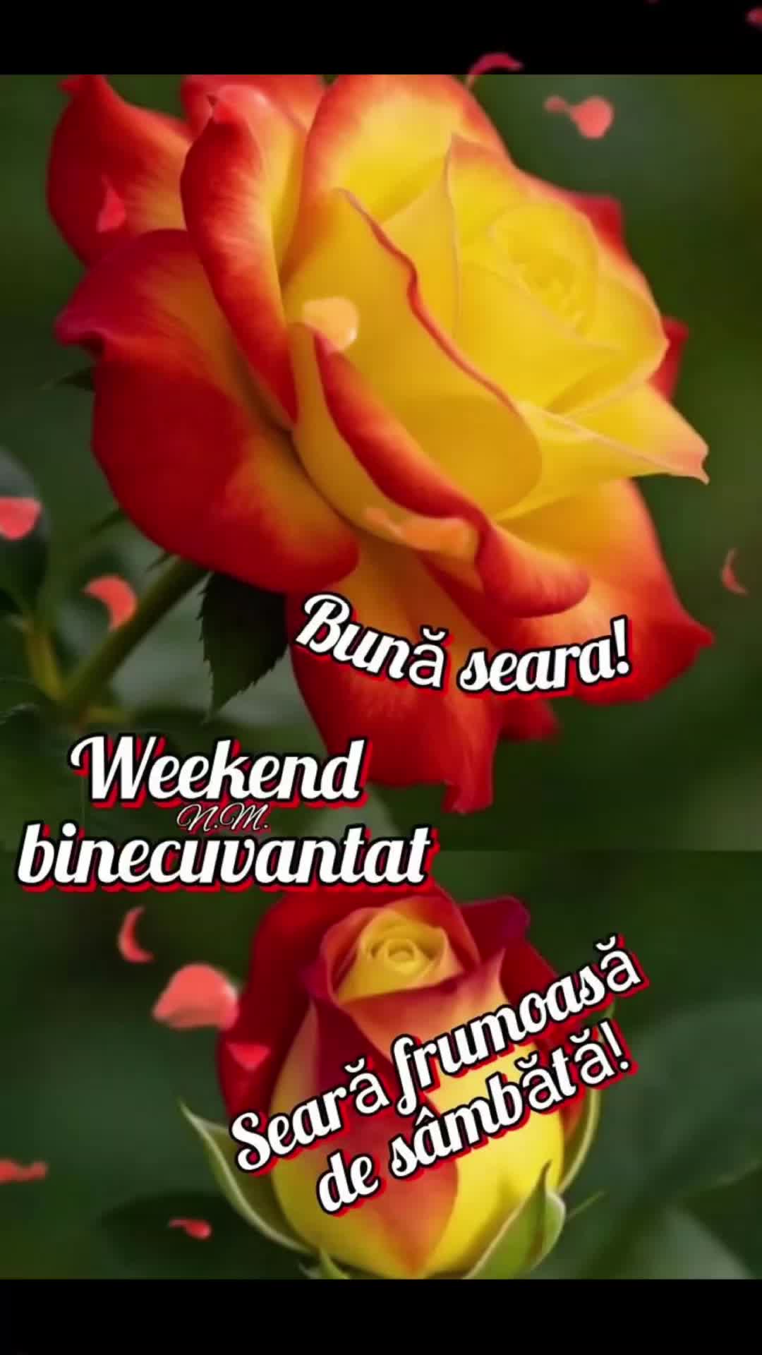@Nicolae Iamandi Marin