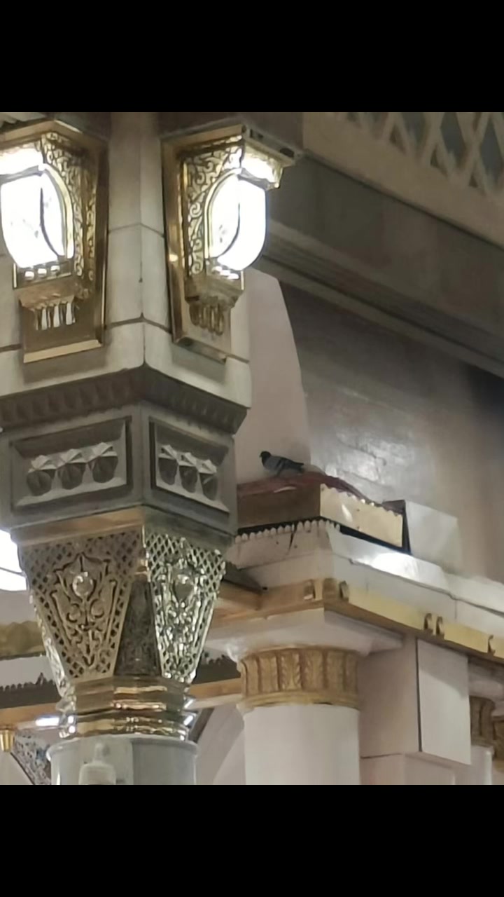 @shahbazahmed3735