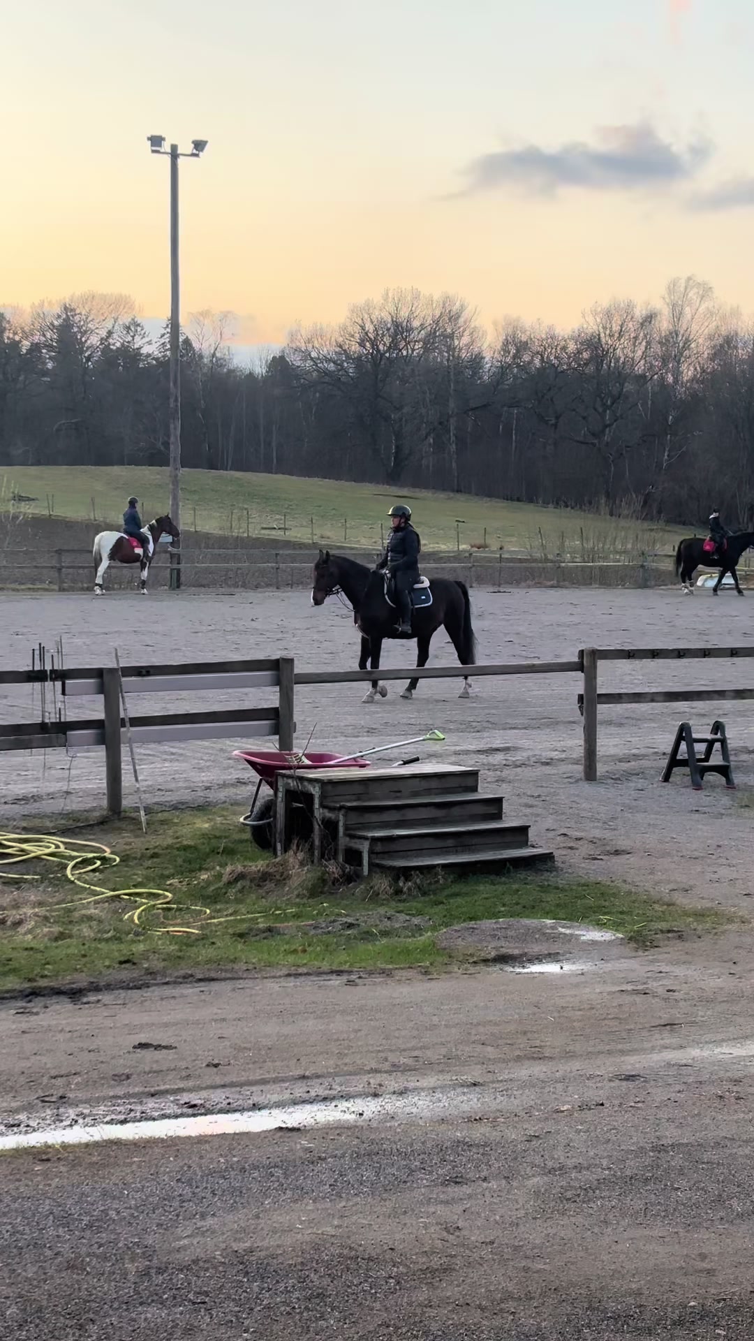 @Tilda Zöller🇸🇪