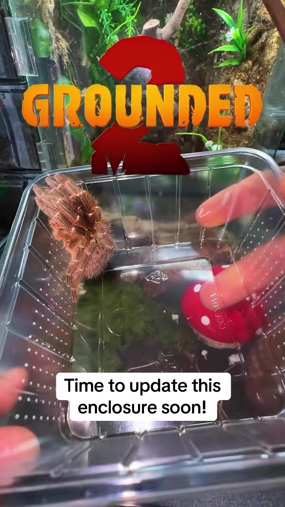 @TommyTarans