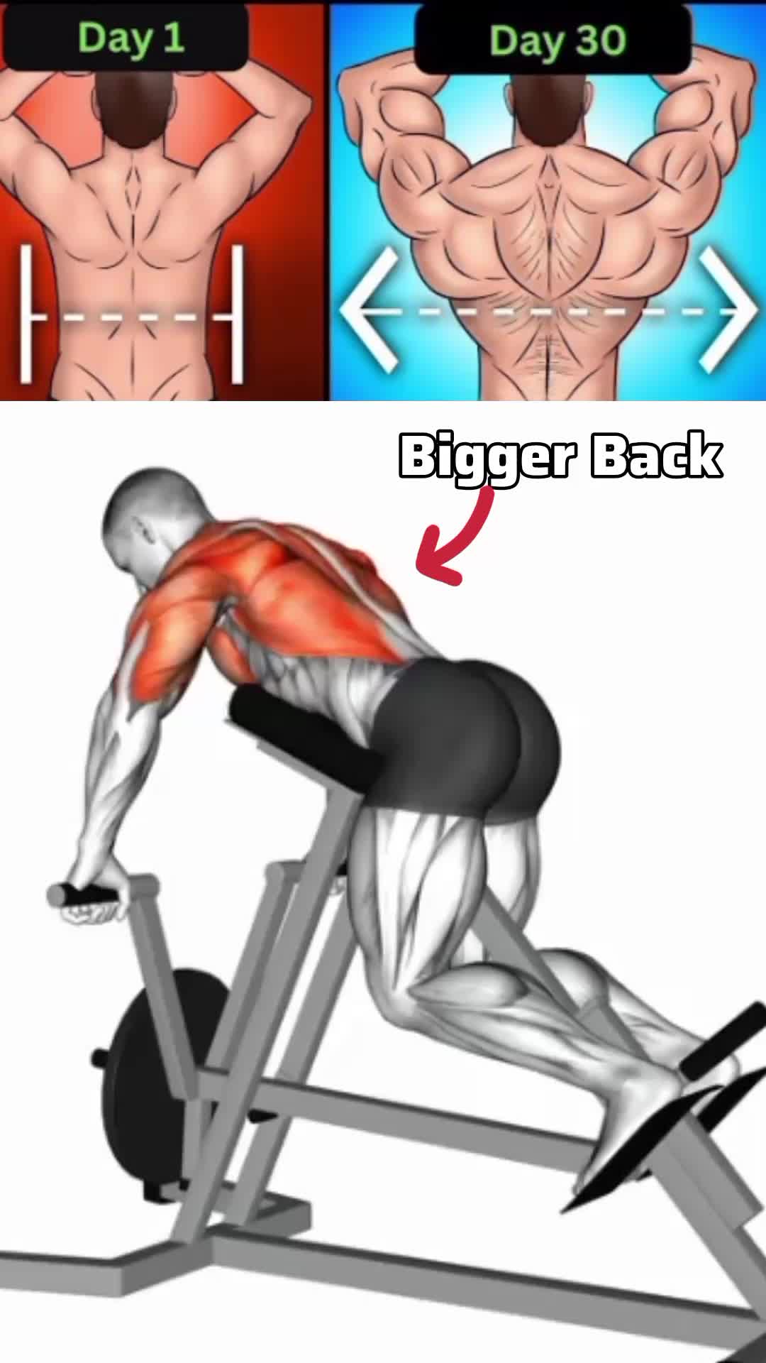 @GetToFit