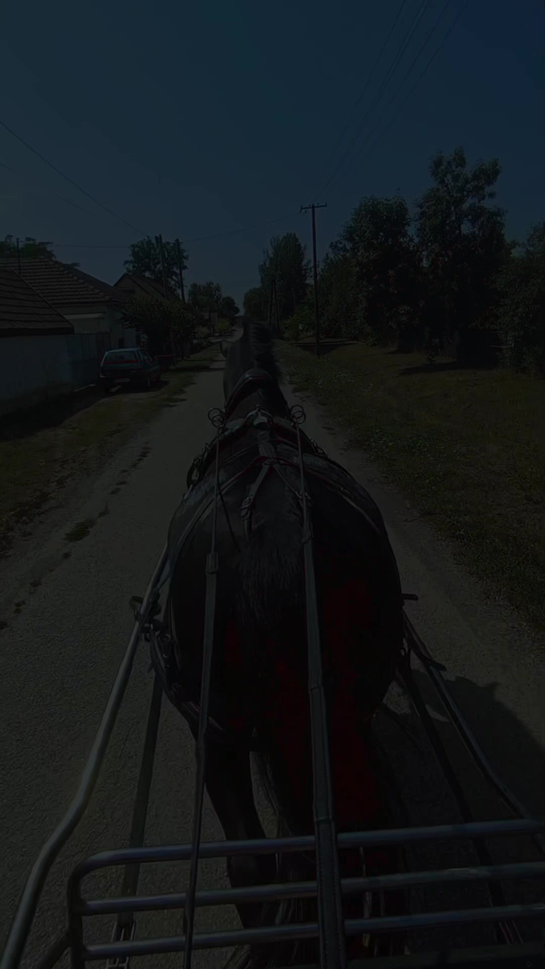 @Gábor