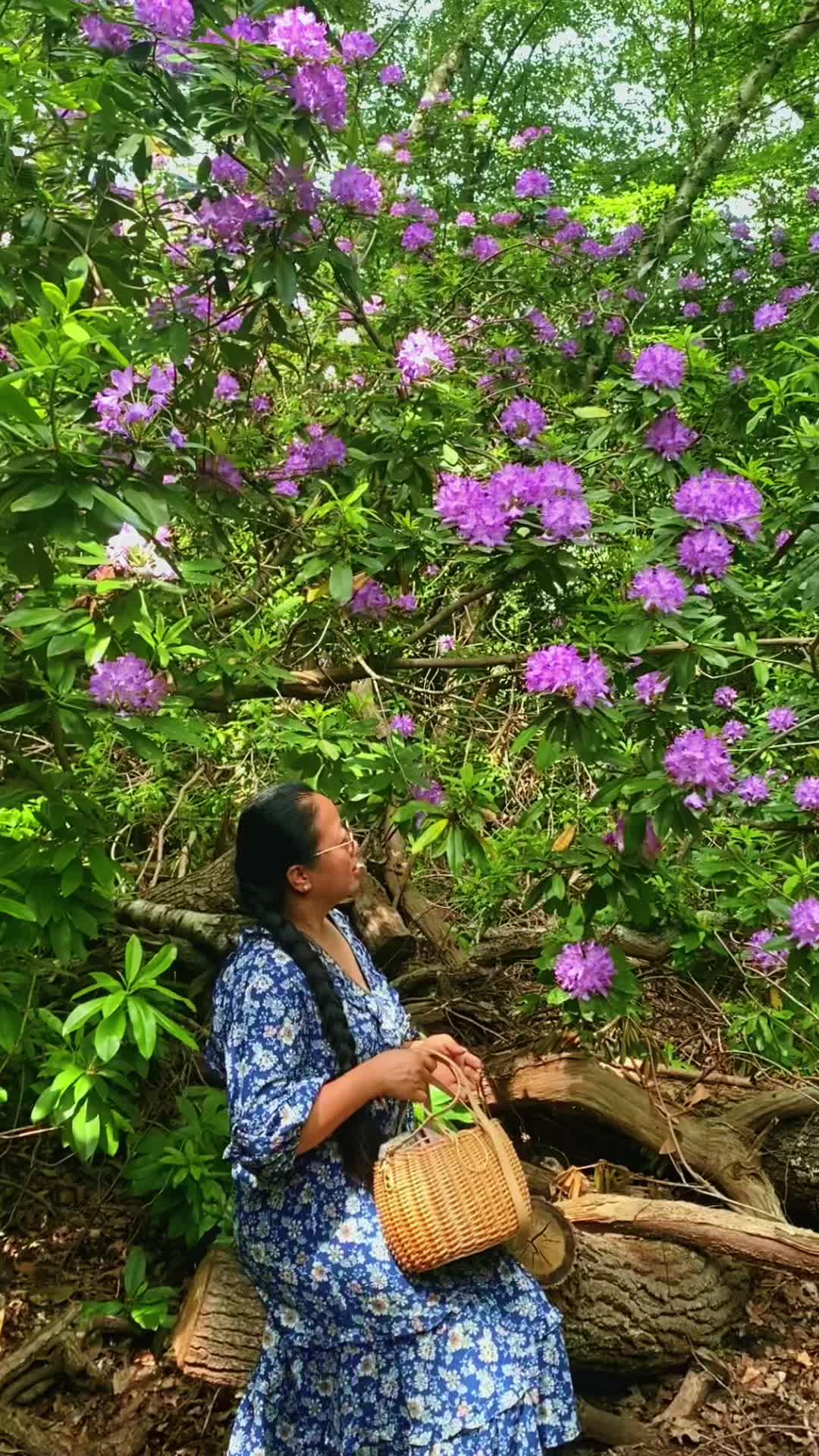 @🌺Flower&rsquo;s&ensp;Lover❤️