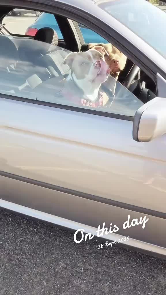 @limp