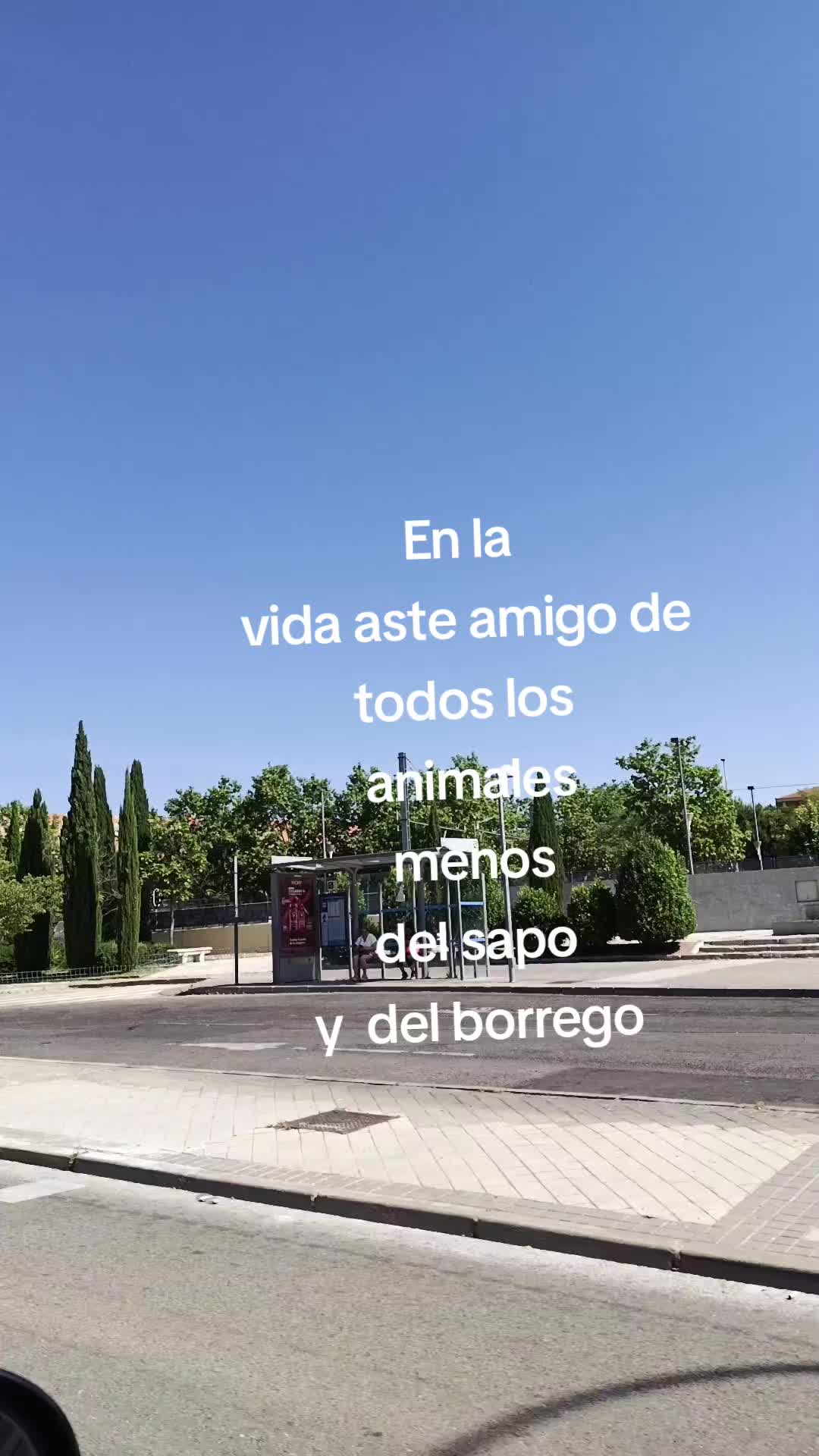@Mirella Sedamanos