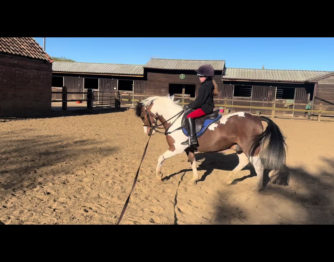 @Nina&rsquo;s Pony Adventures ❤️