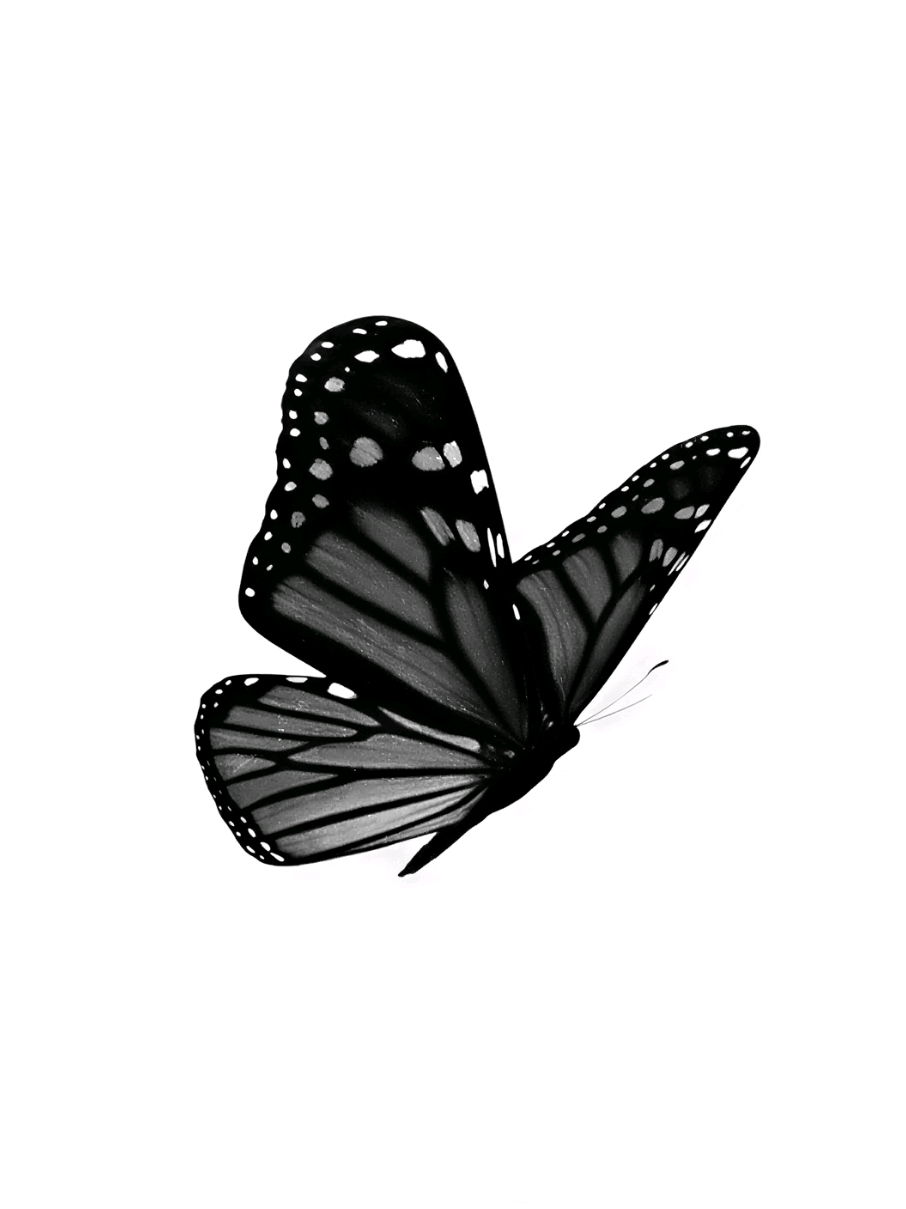 @‧˚꒰ ❀ 𝘓𝘶𝘯𝘢 ୭ ˚. ᵎᵎ