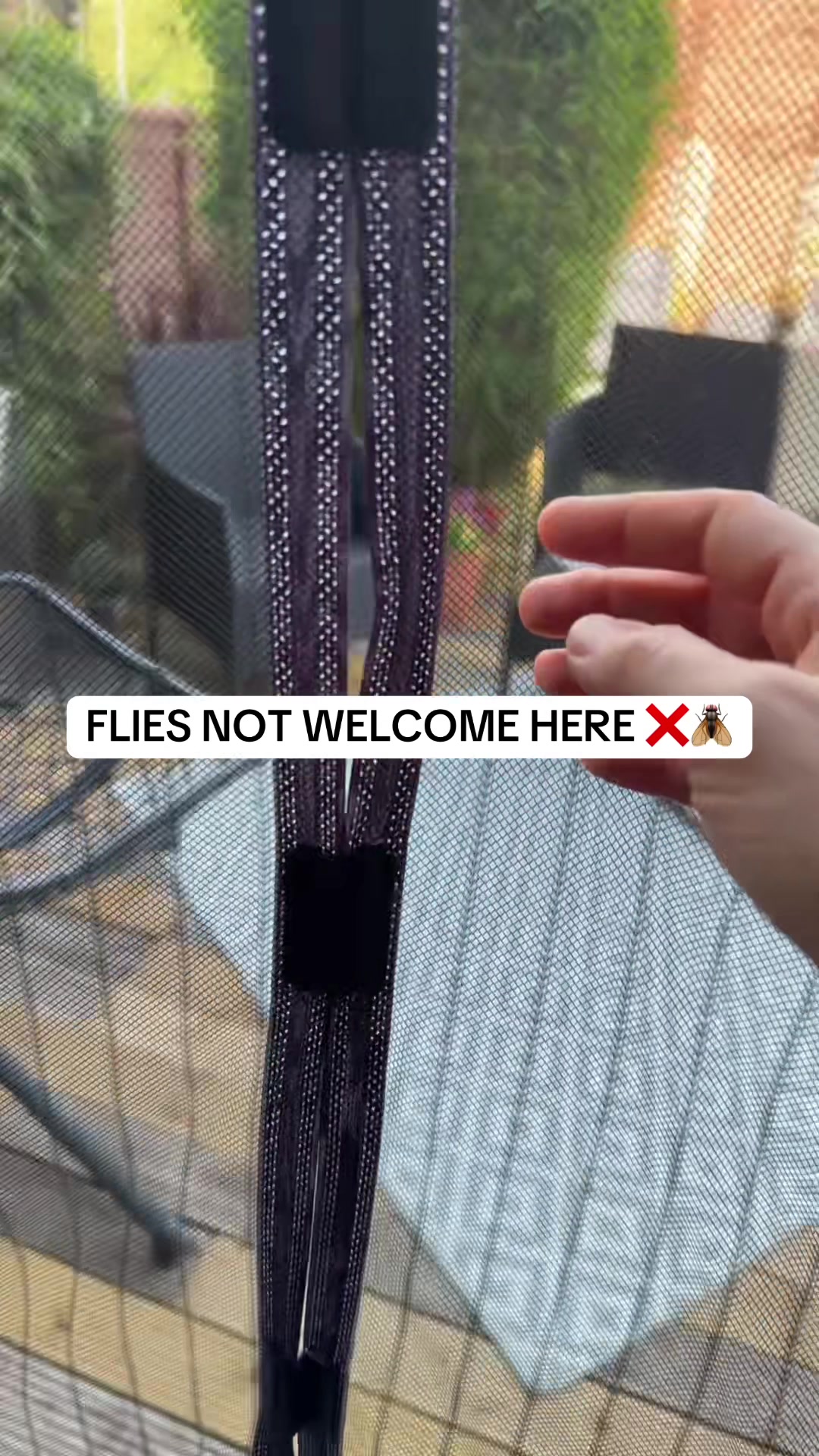 @✨💫⭐️𝕙𝕒𝕡𝕡𝕪𝕞𝕠𝕣𝕘𝕤⭐️💫✨
