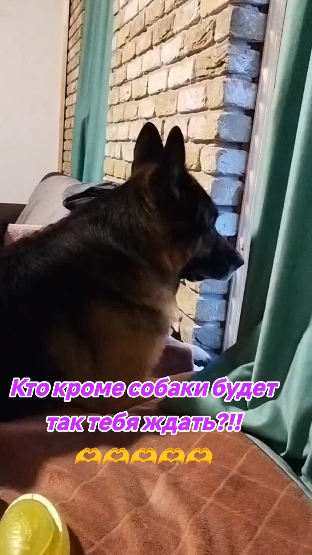 @oskar_mrpl