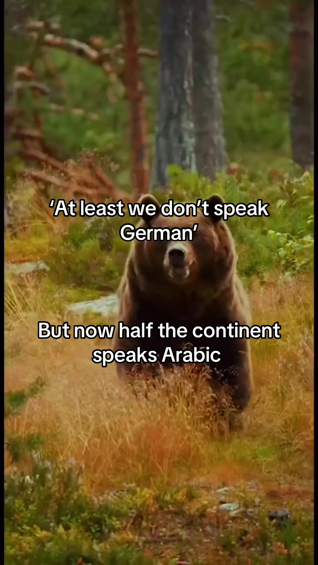 @Great Britannia