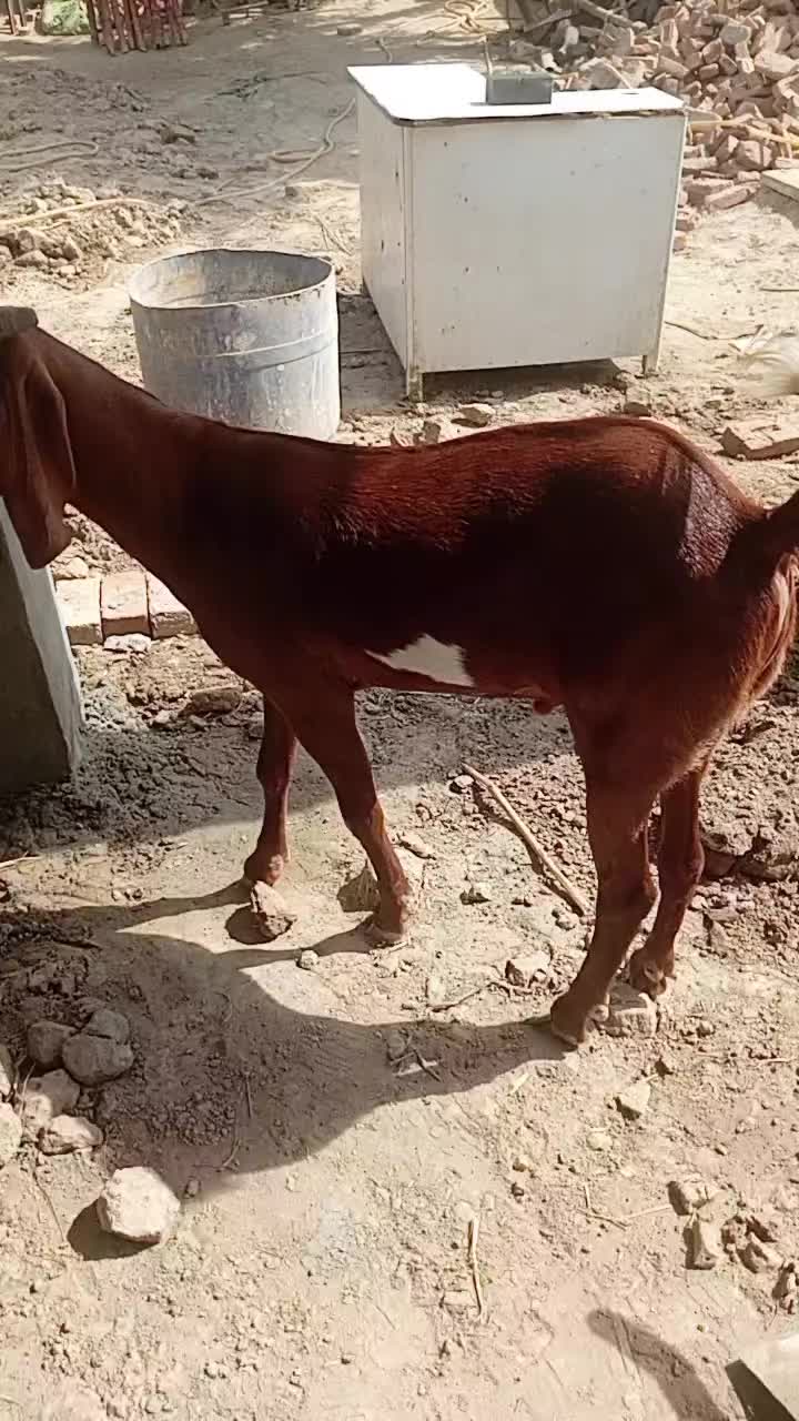 @Imran Ali