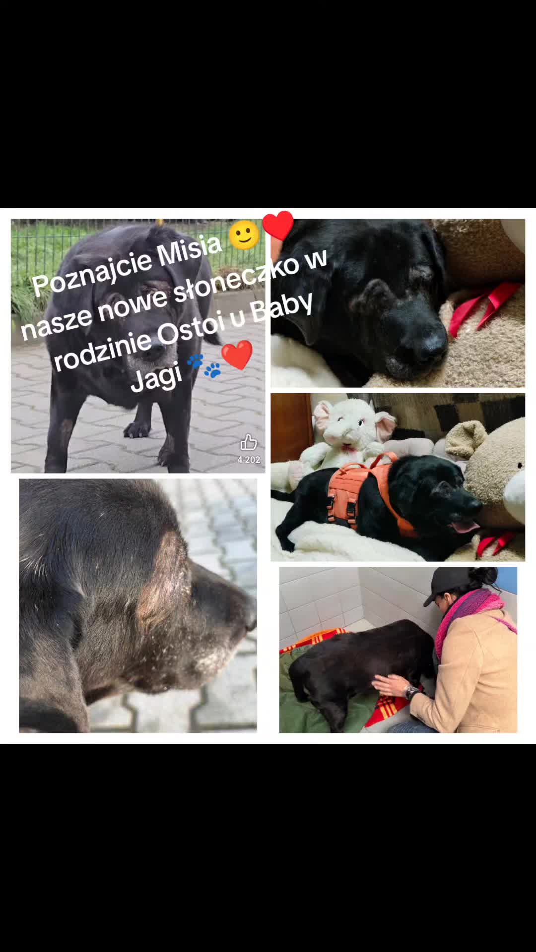 @OstojaUBabyJagi_AgaNowak
