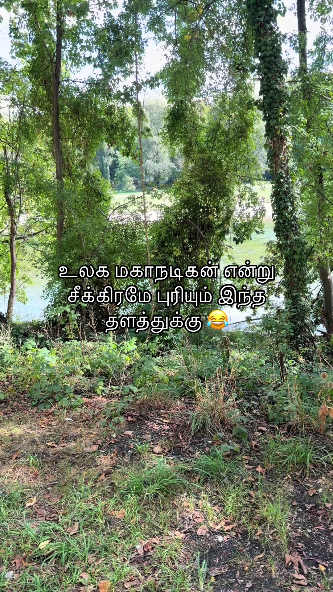 @kirus -6