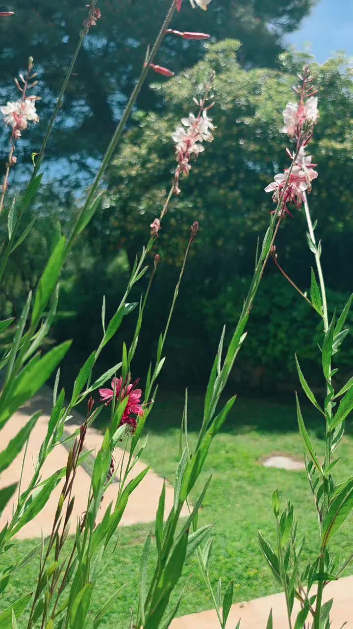 @𝘬ꫀ𝓽ꪗ☀️🐞