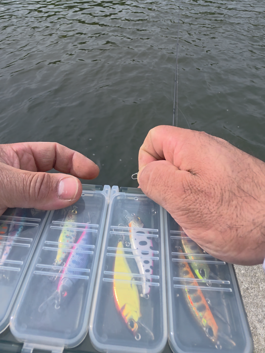 @BF Angler