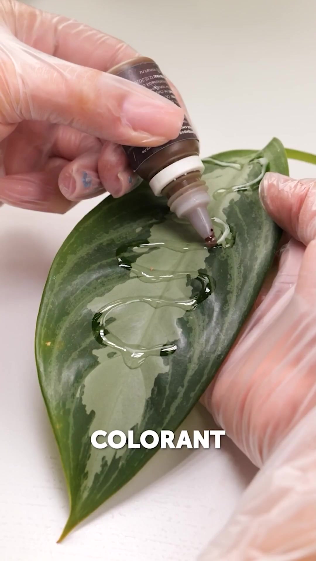 @5-Year Crafts