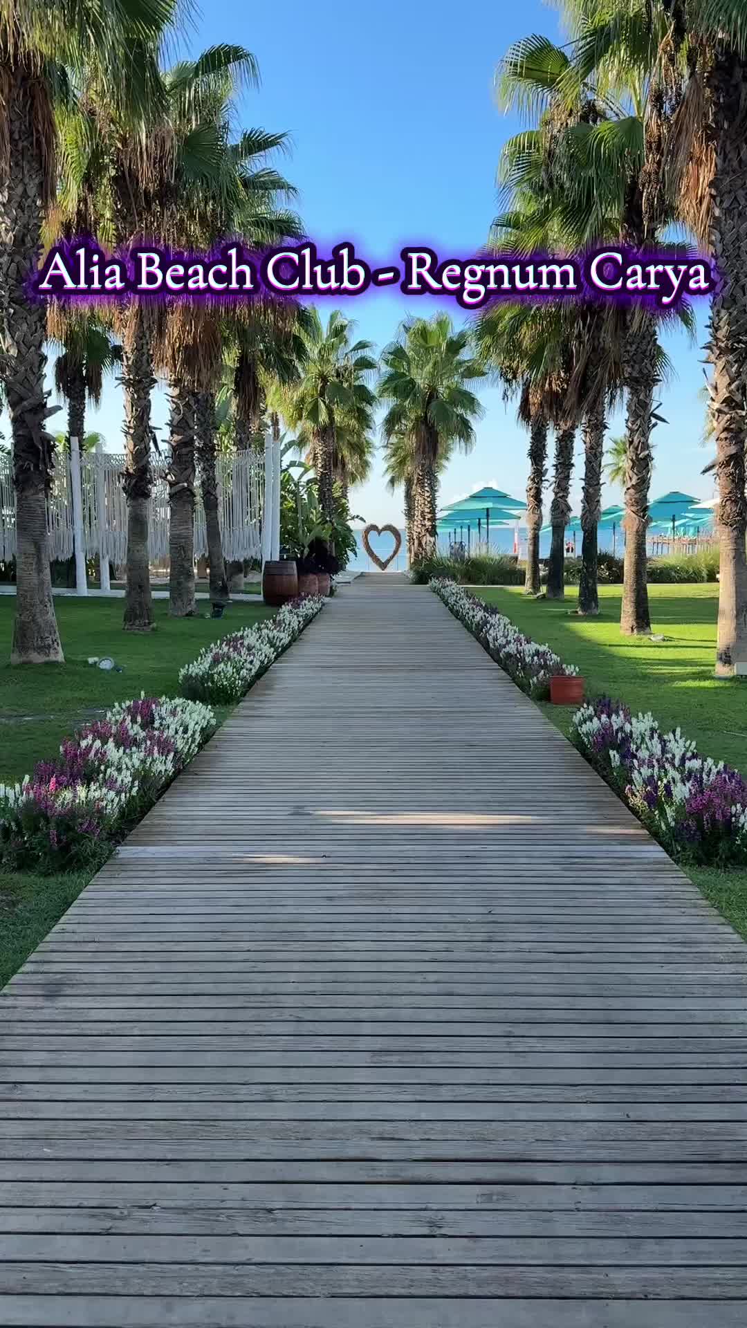 @layneyslifeandtravel