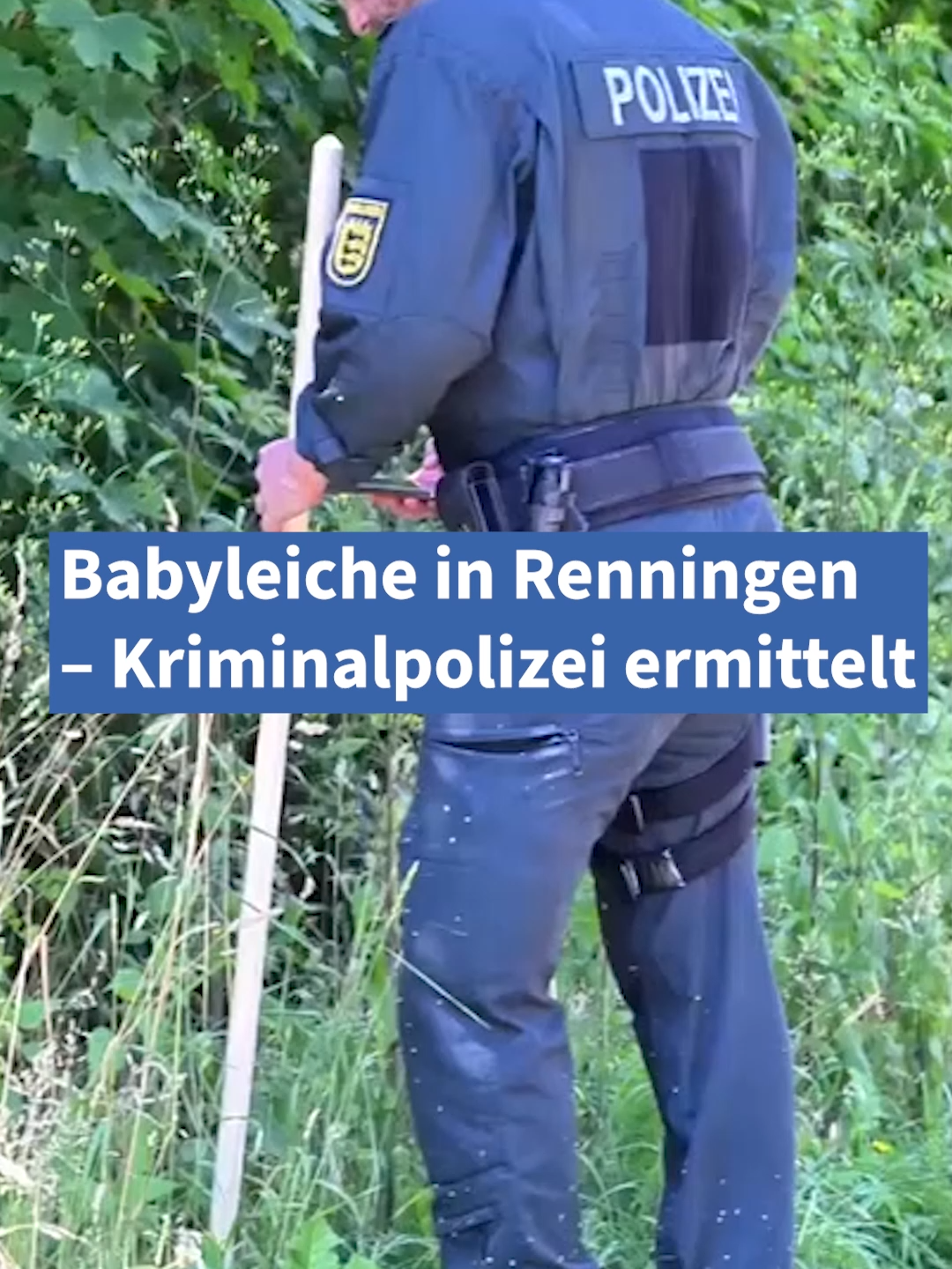 @Frankfurter Allgemeine