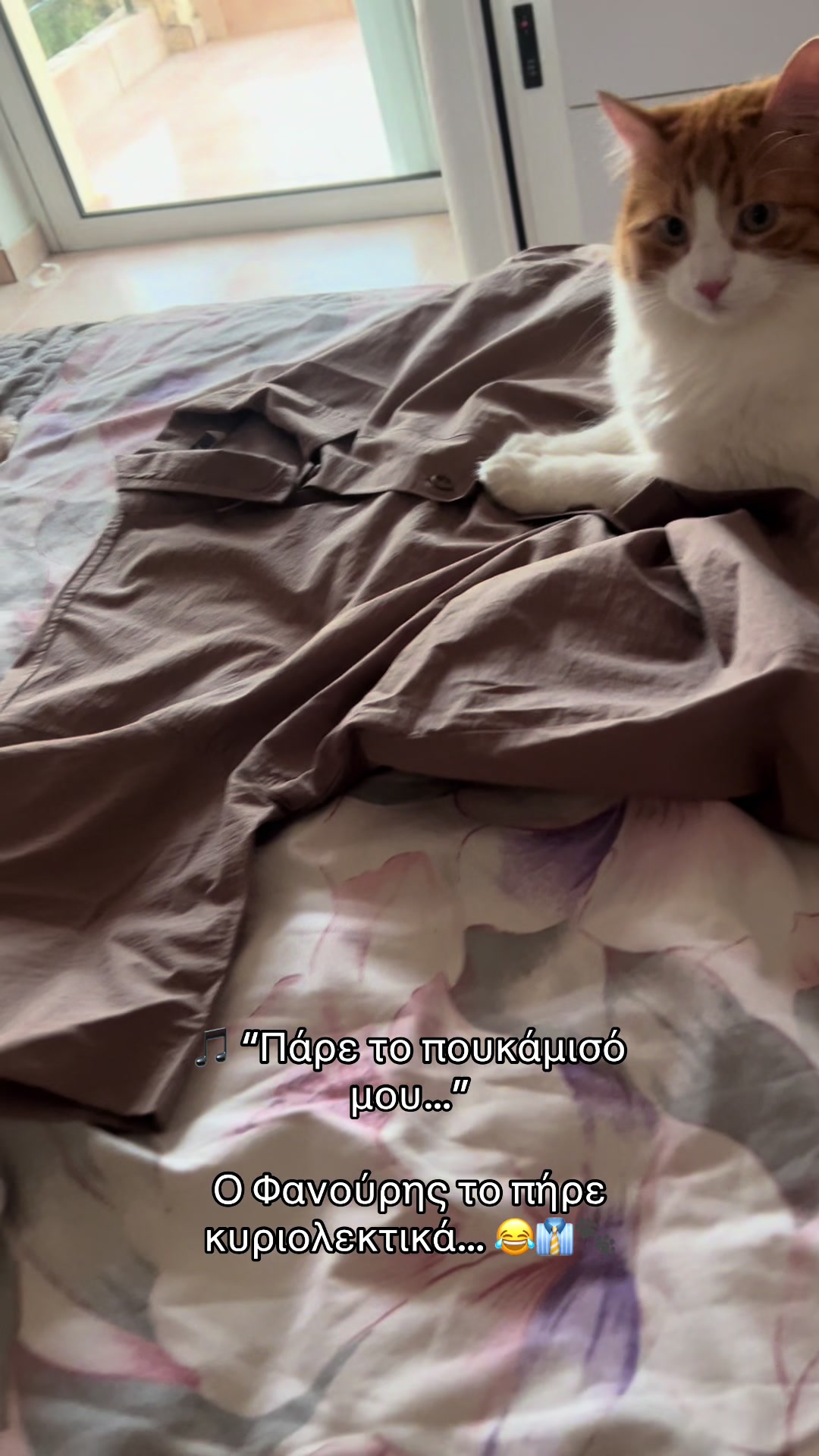 @Φανούρης ❤️🐈