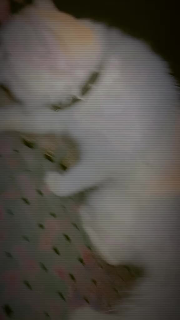 @࿇♥𝕄𝕒𝕙𝕚♥࿇