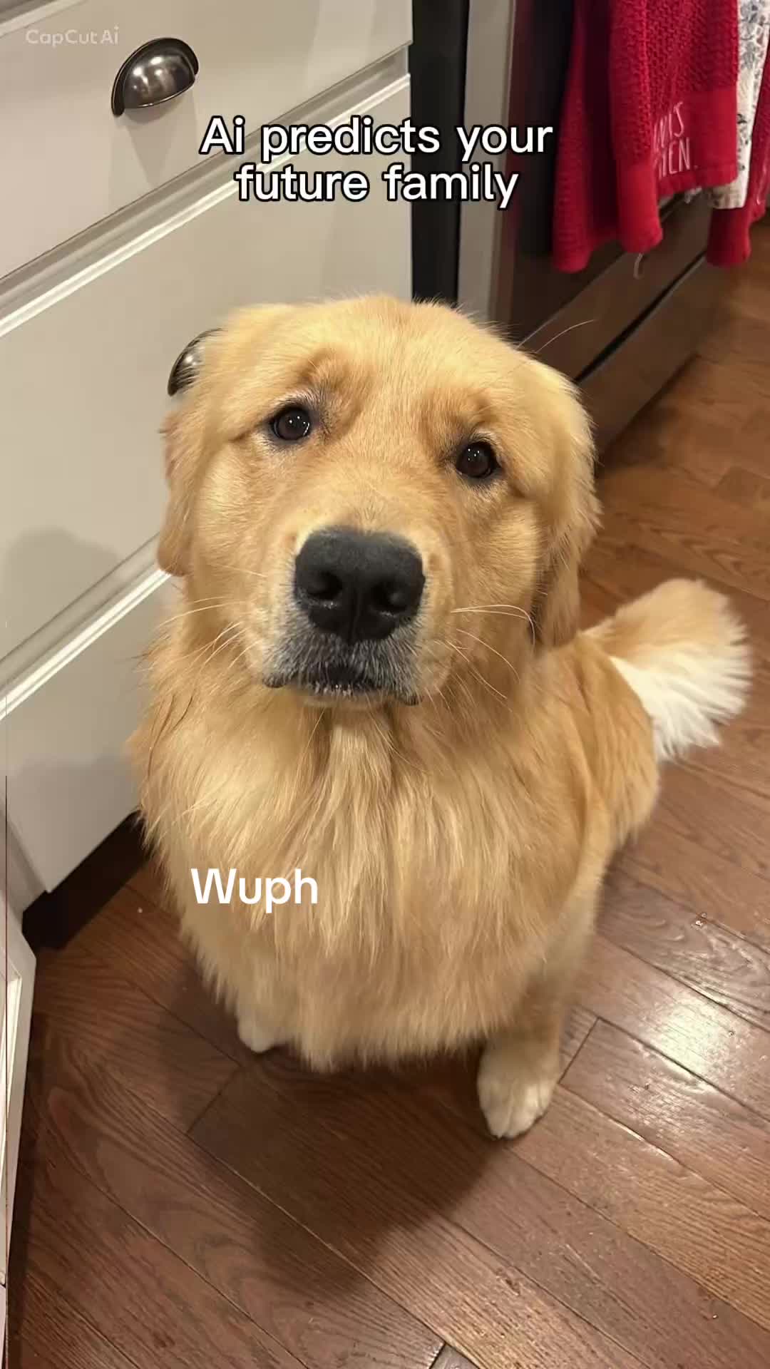 @JYoung101