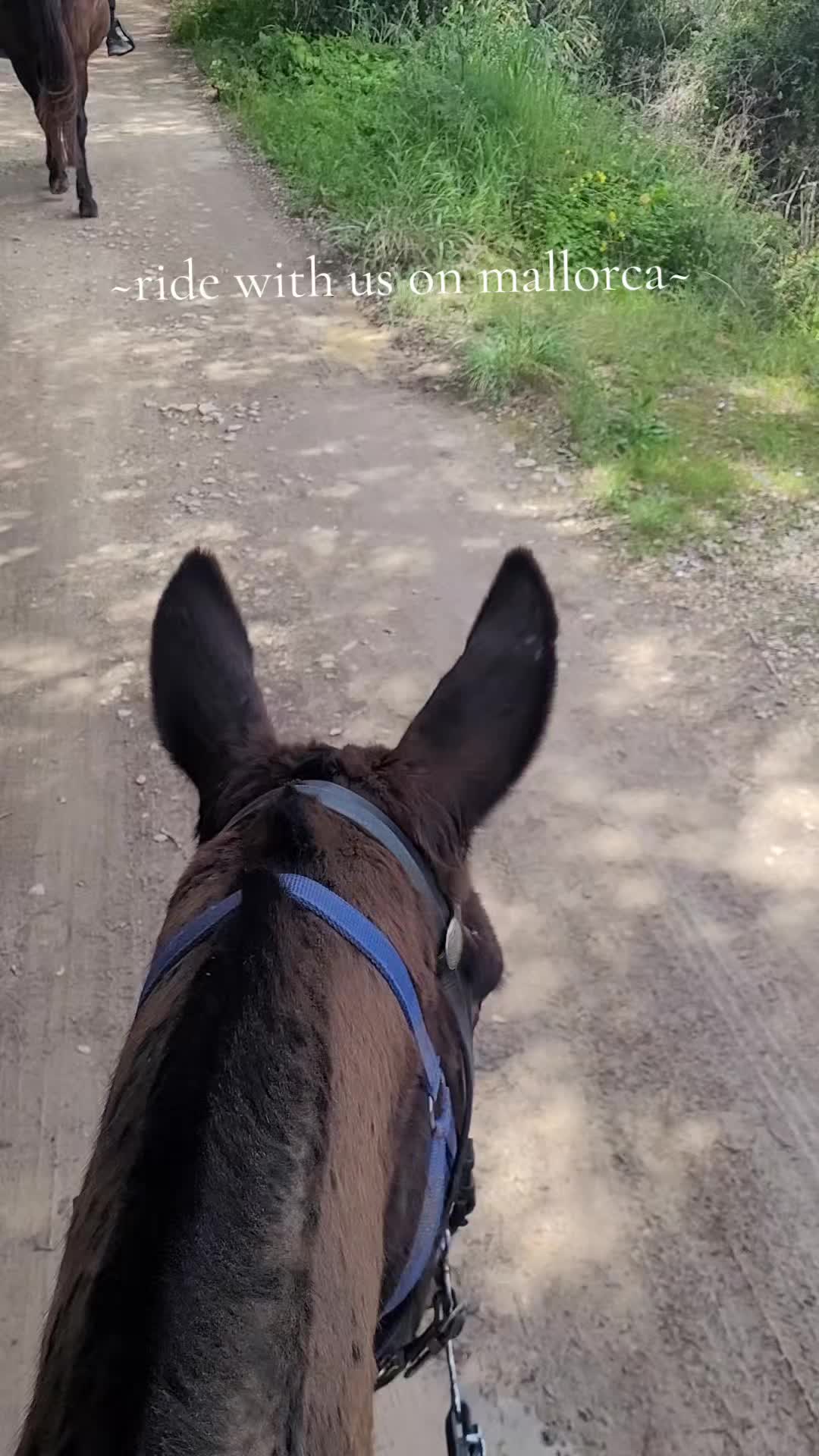 @Mallorcas pippi langstrumpf 🐴