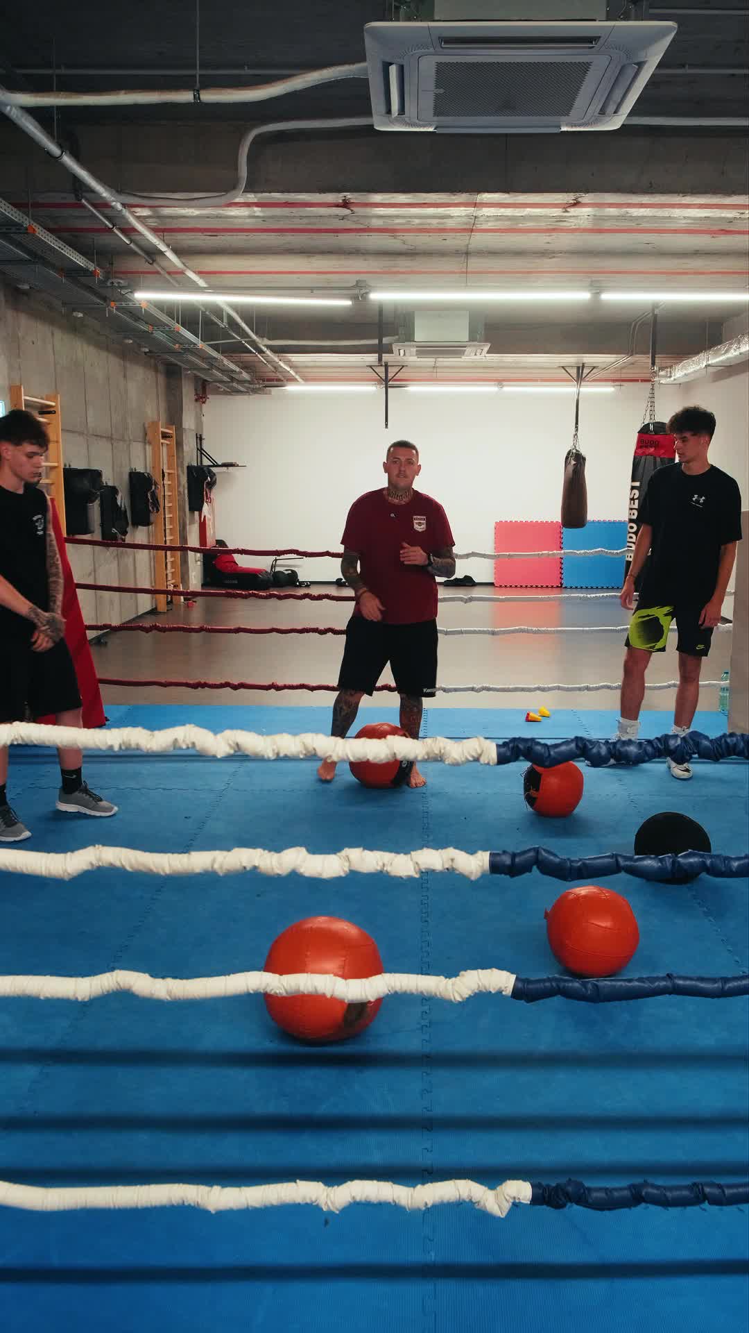 @C.S RAPID BUCUREȘTI - BOX 🥊