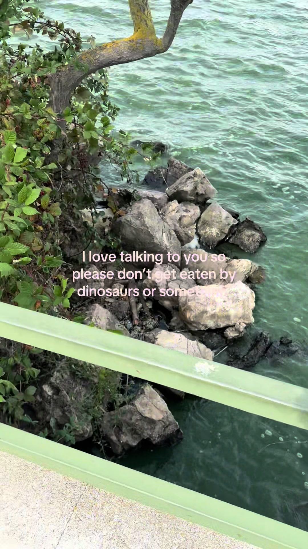 @𝐀𝐍𝐍𝐀𝐁𝐄𝐋𝐋𝐄 ⊹ ࣪ ˖