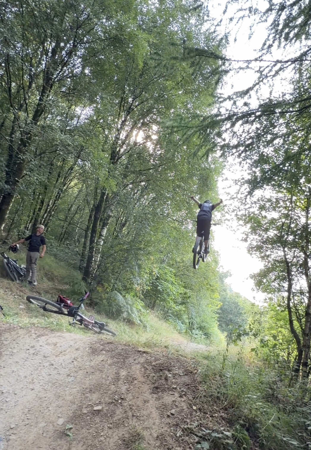@Dom.Krajewski