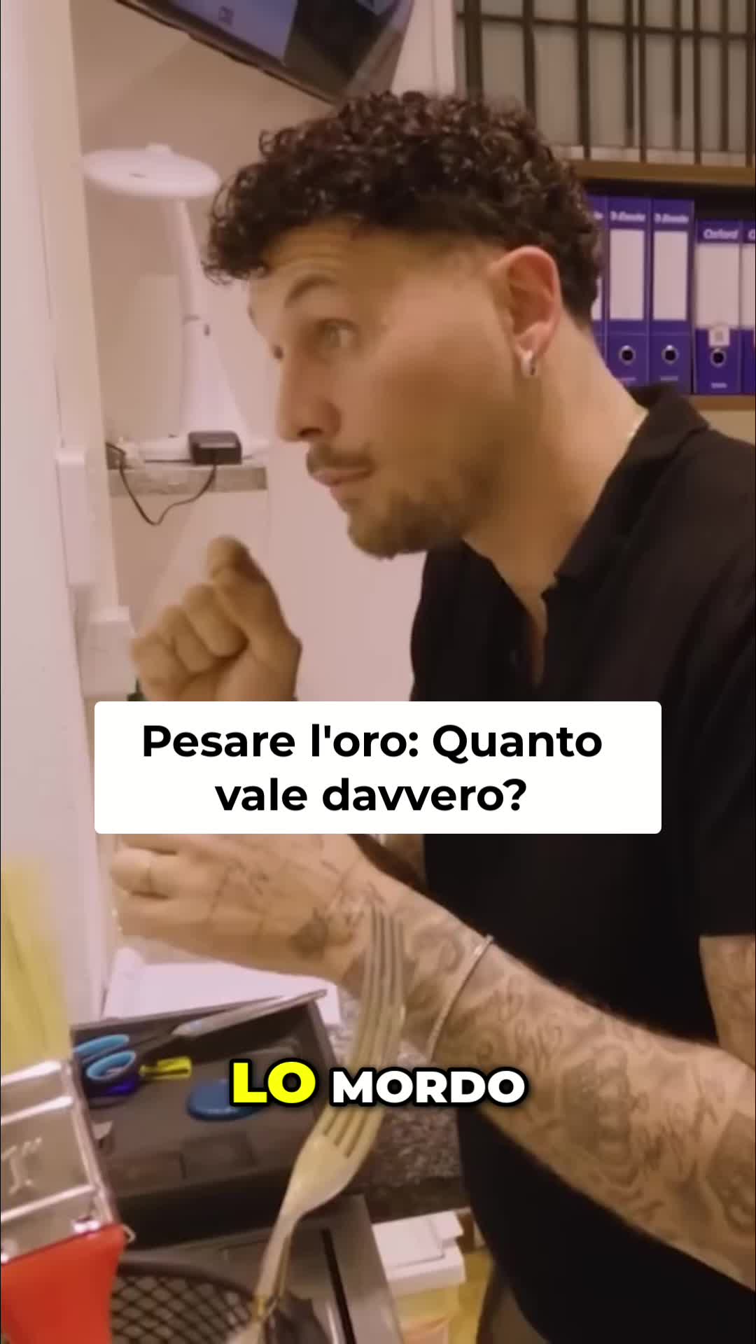 @ilfreebooter