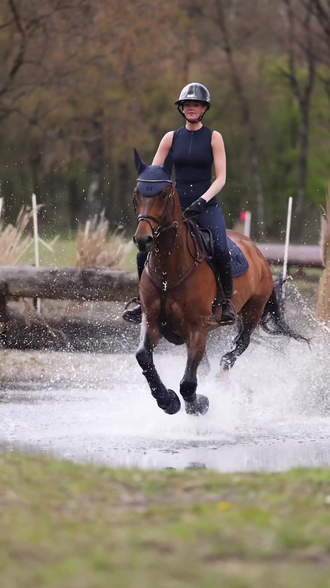 @Maximilian Equestrian