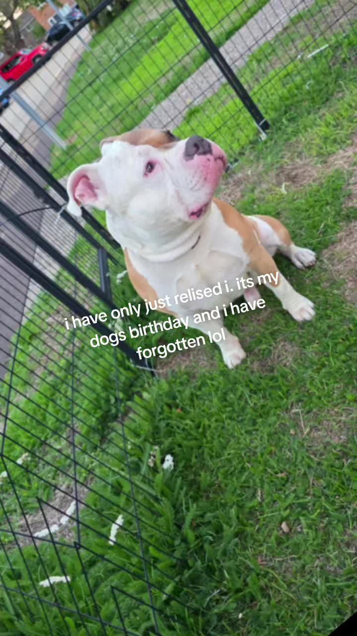 @littlejames