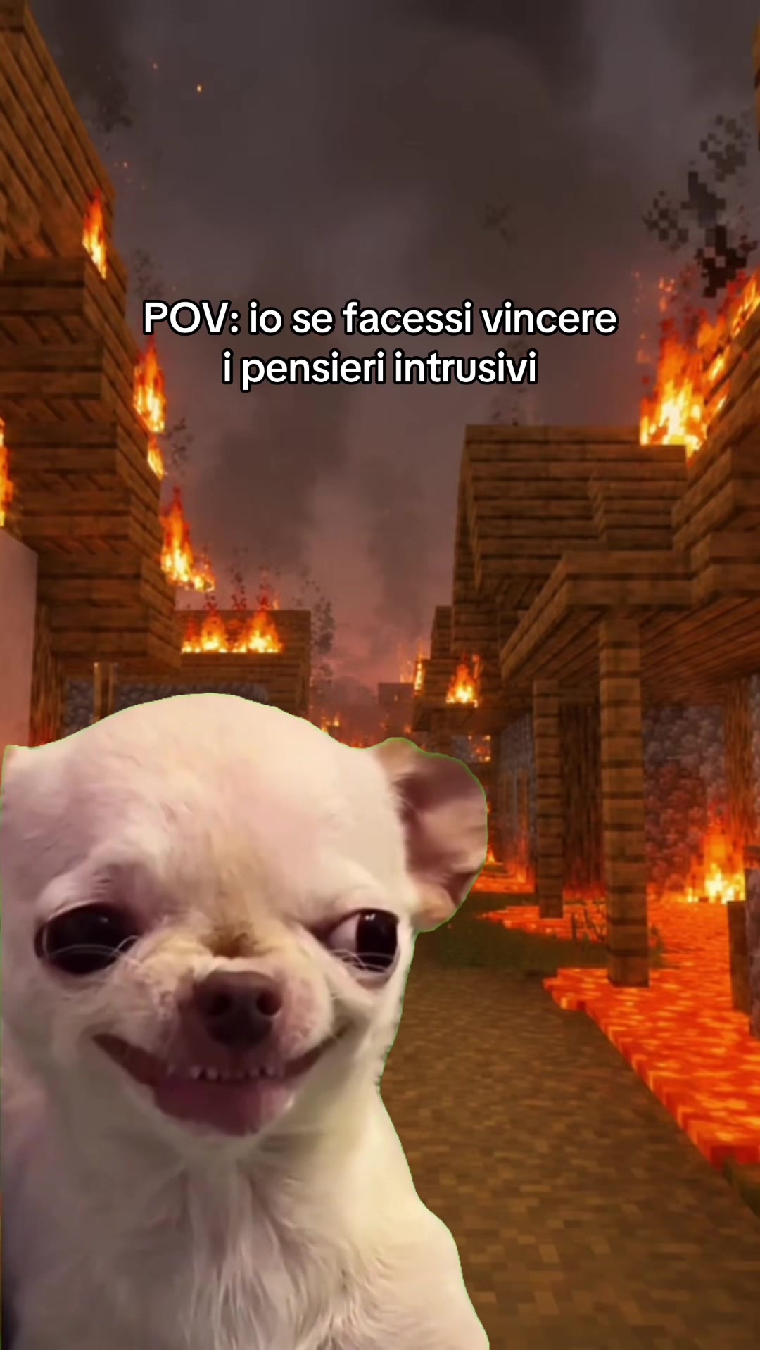 @duopercaso