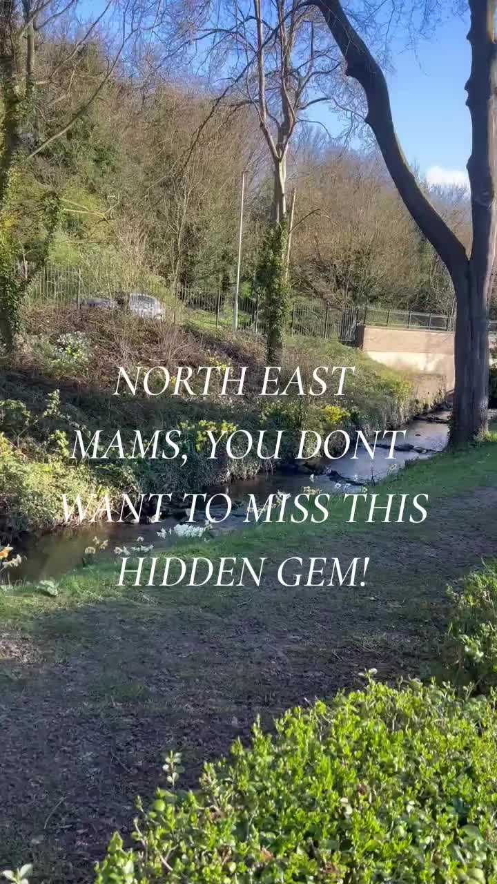 @the travelling witches