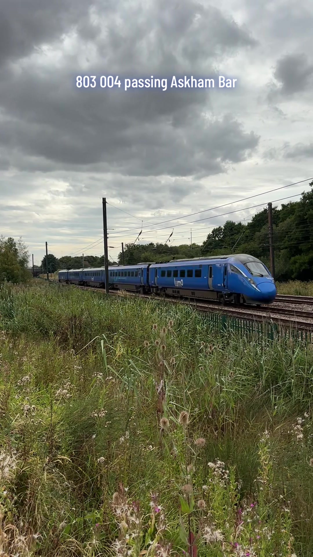 @The Duo of Train Lovers