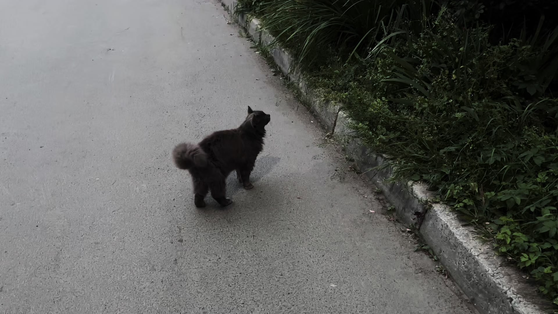 @я не туня.