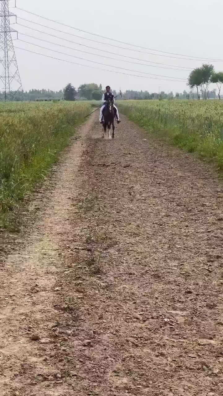 @Malik Ali Abbas Saggu🔥