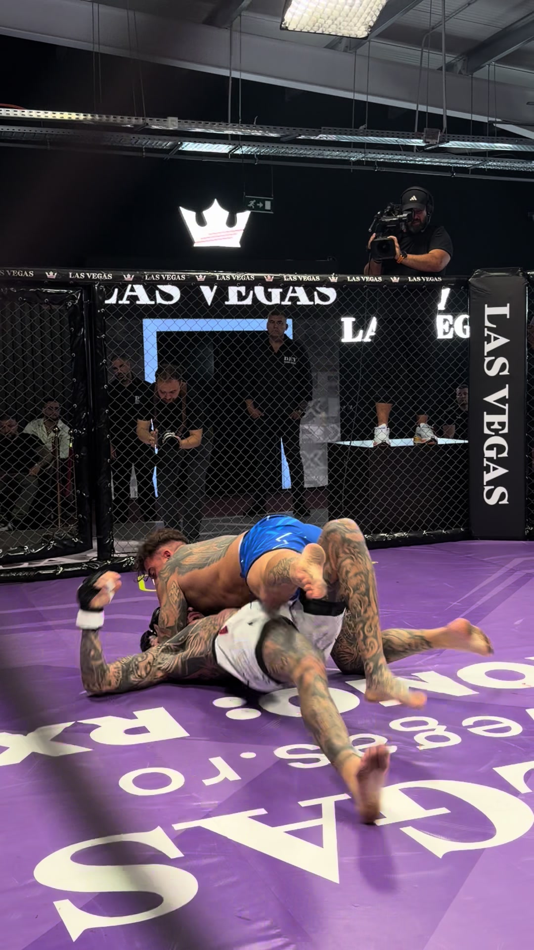 @RXFMMA