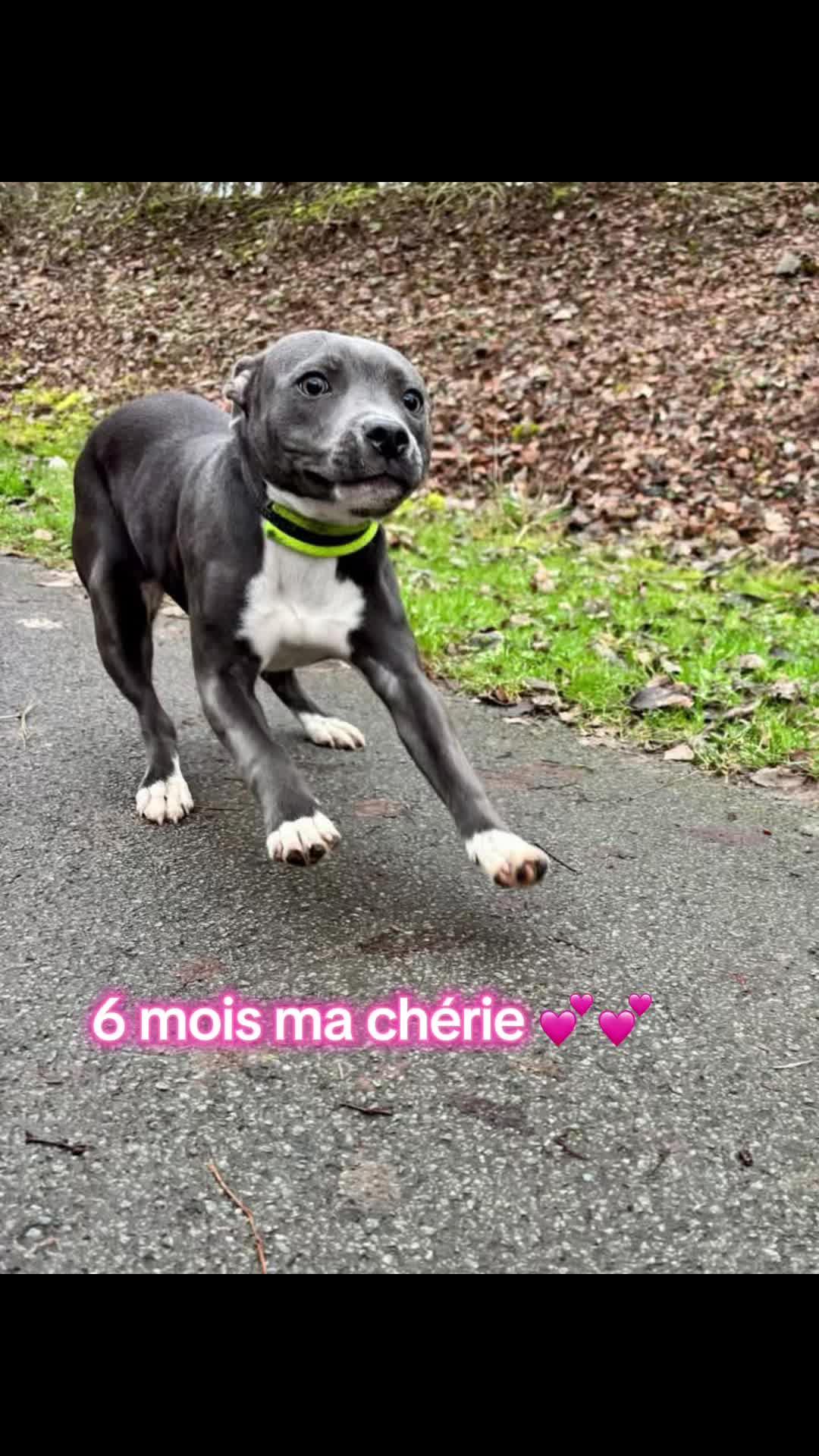 @staffy Alya