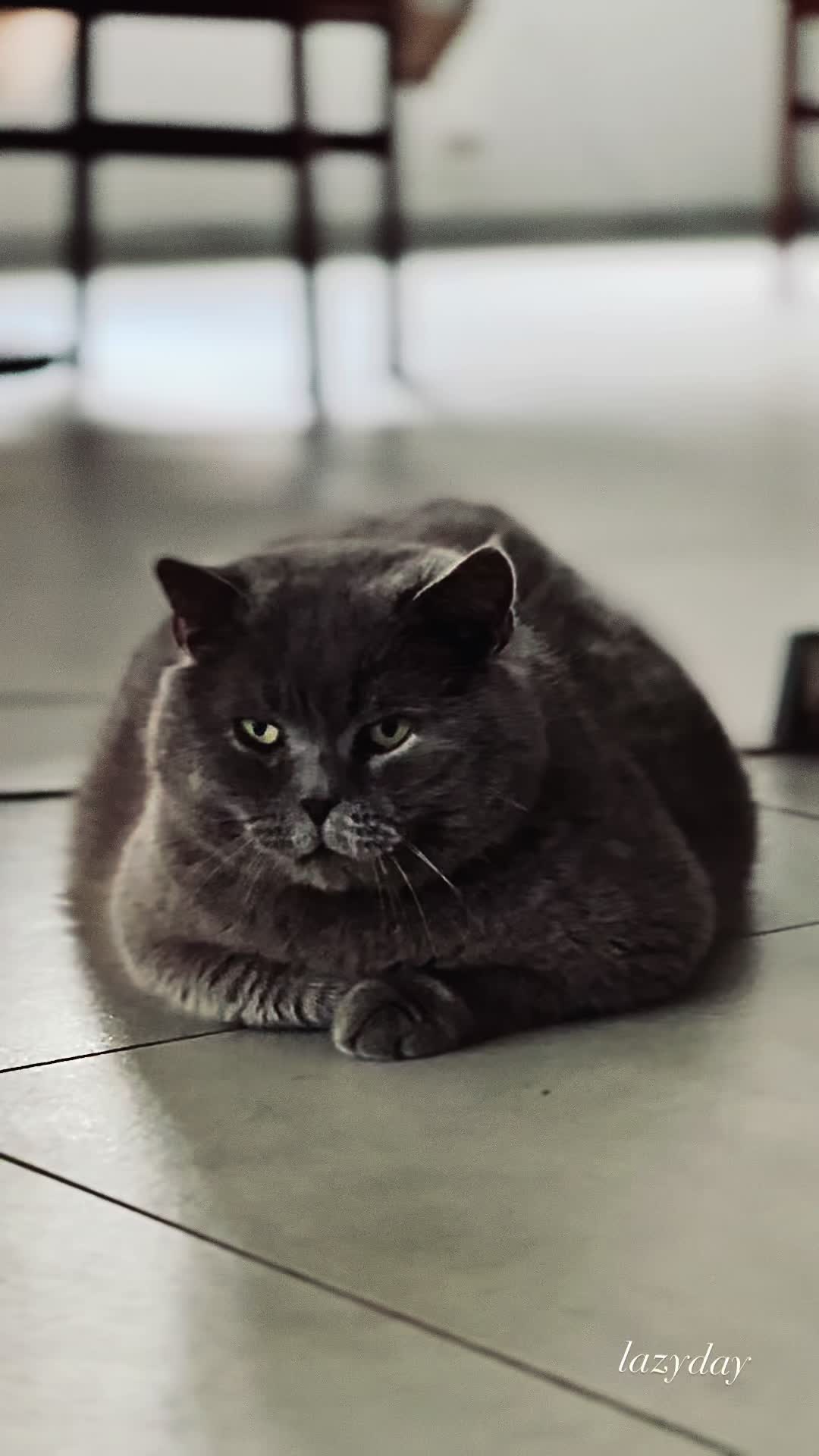 @𝔼𝕤𝕤𝕒